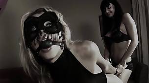 Euro mastix licking les